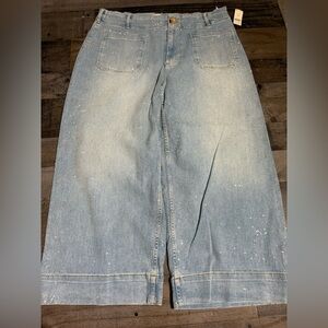 NWT Anthropologie Maeve The Colette Sparkle‎ Jeans- 18W